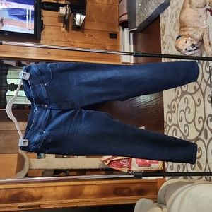 Maurices High Rise Stretch Skinny Jean 20w